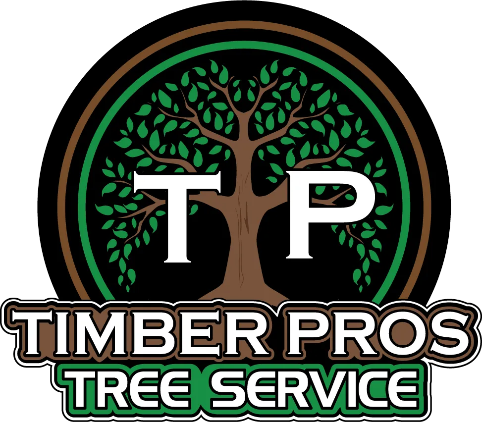 timber-logonew-2024-final