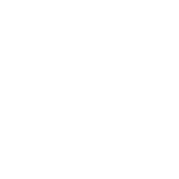 Thought-Leadership